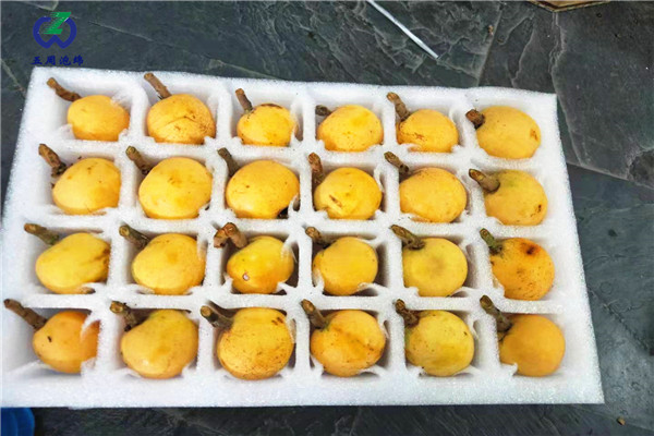 說一說珍珠棉水果托的特點有哪些？