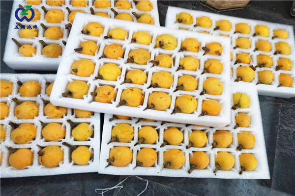 常見(jiàn)的水果內(nèi)托定做材料是什么？
